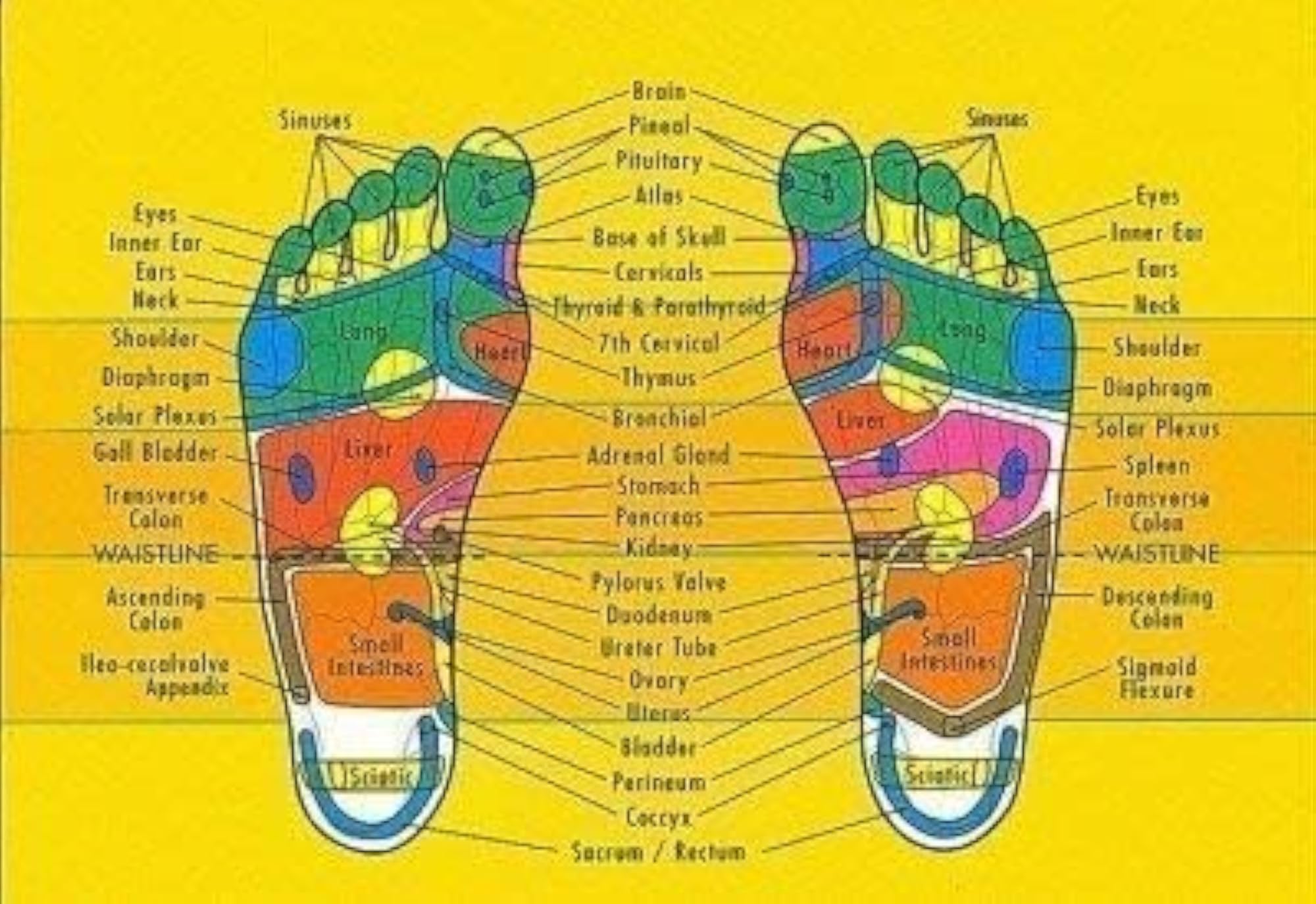 Perfect Magnet Acupressure Health Power Mat IV
